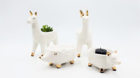 Animal Shaped Succulent Jewelry Holder and Organizer