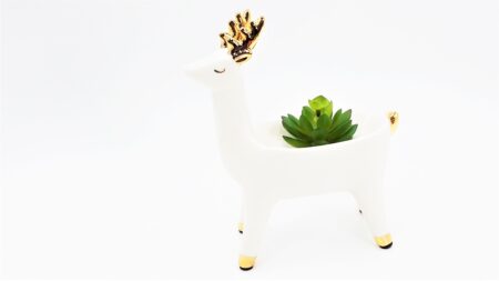 Animal Shaped Succulent Jewelry Holder and Organizer