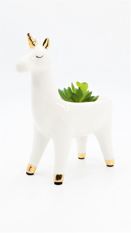 Animal Shaped Succulent Jewelry Holder and Organizer