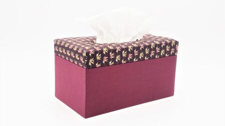 Handmade Full Size Thai Silk Tissue Box Cover