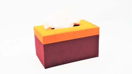 Handmade Full Size Thai Silk Tissue Box Cover