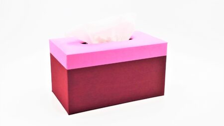 Handmade Full Size Thai Silk Tissue Box Cover