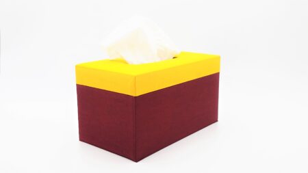 Handmade Full Size Thai Silk Tissue Box Cover