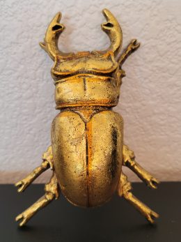 Stag Beetle Wall Decoration
