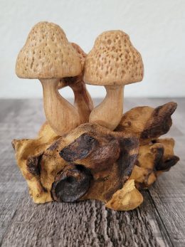 Decorative Mushroom Display