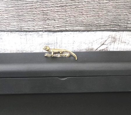 Chopstick Box Set with Iguana Decoration