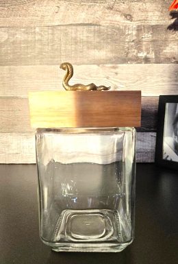 Square Glass Jar with Small Snake on Wood Lid
