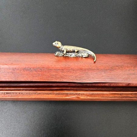 Chopstick Box Set with Iguana Decoration