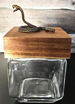 Square Glass Jar with Large Snake on Wood Lid