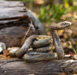 Triple Wrap Snake Tapered Candle Holder