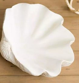 White Seashell Shape Bowl